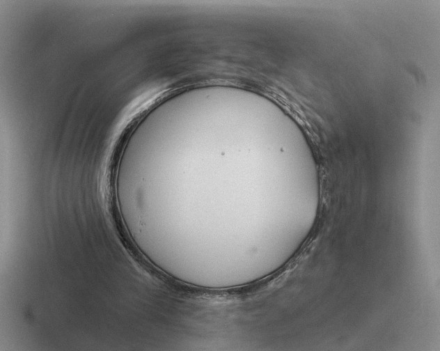 X0000116670245201001041135