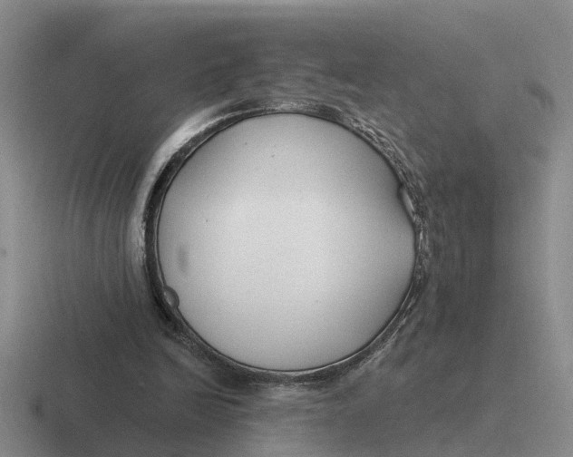 X0000116670246201001041135