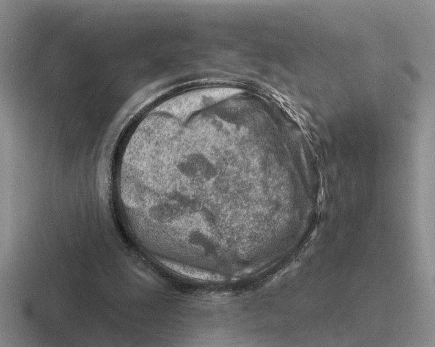 X0000116670247201001041135