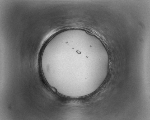 X0000116670248201001041135