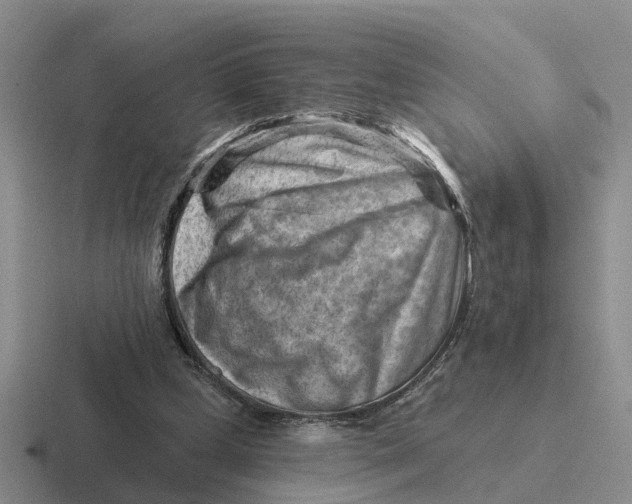 X0000116670249201001041135