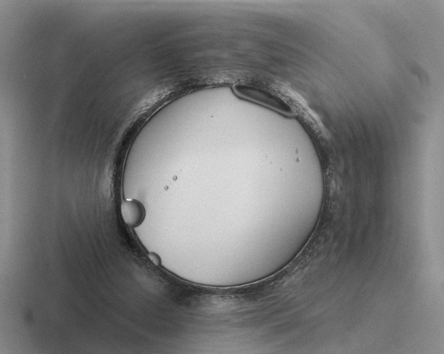 X0000116670250201001041135