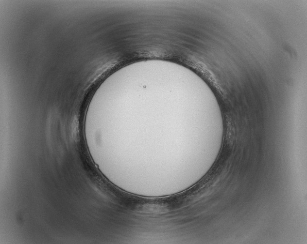 X0000116670251201001041135