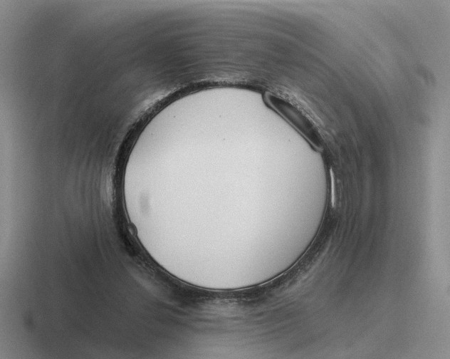 X0000116670252201001041135