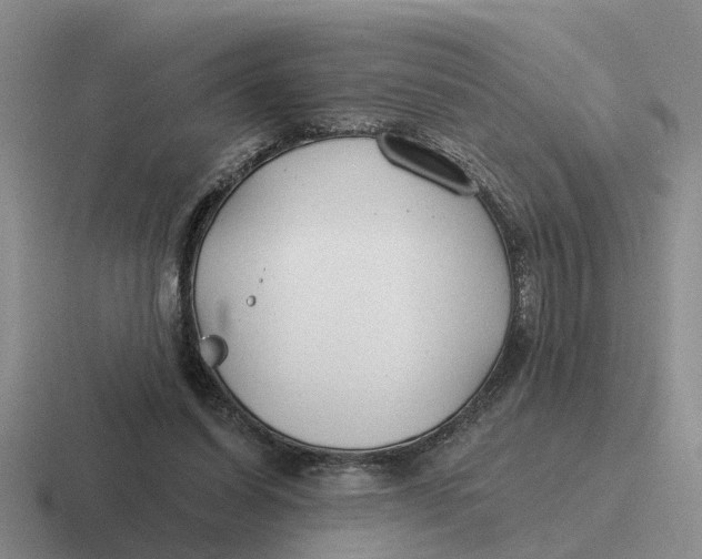 X0000116670254201001041135