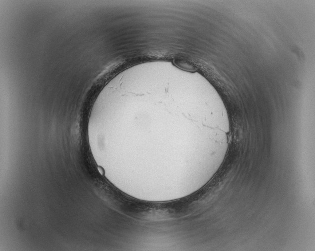 X0000116670256201001041135