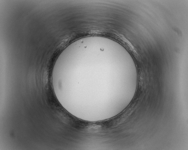 X0000116670257201001041135