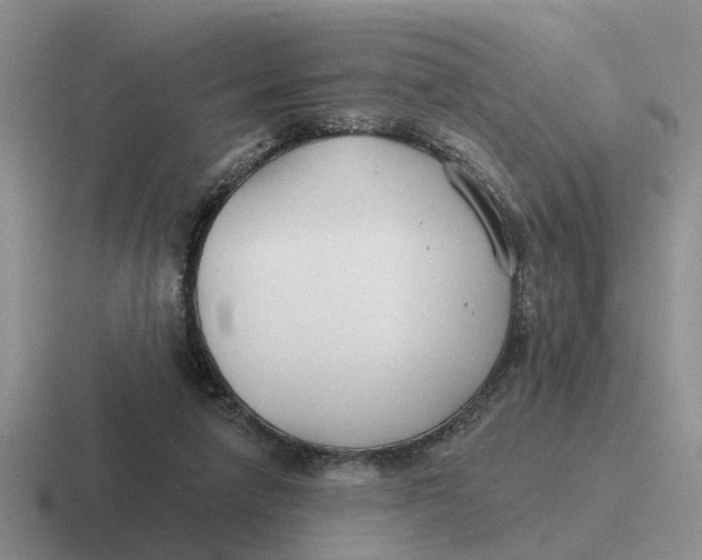 X0000116670258201001041135