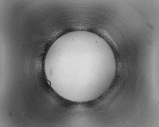 X0000116670259201001041135