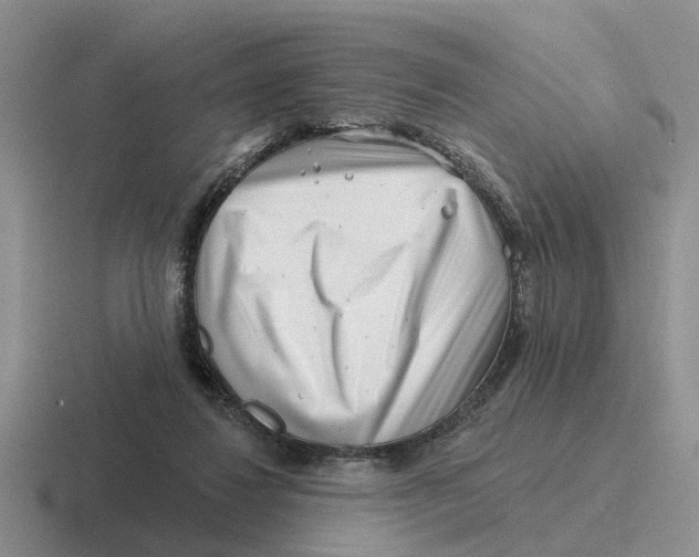 X0000116670260201001041135