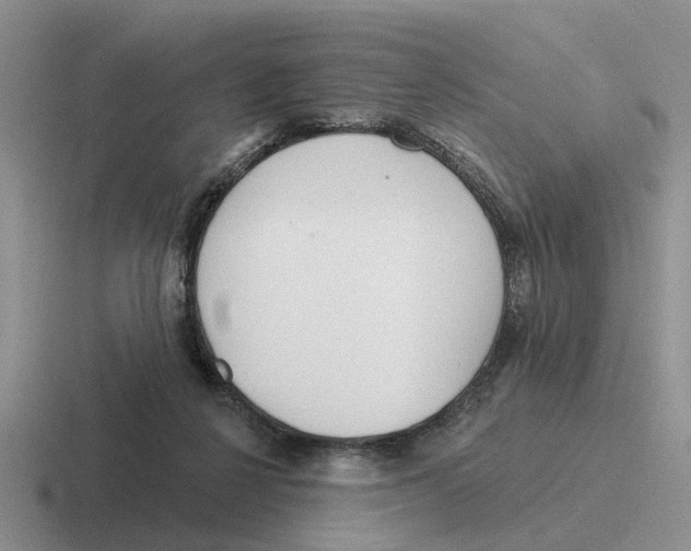 X0000116670264201001041135