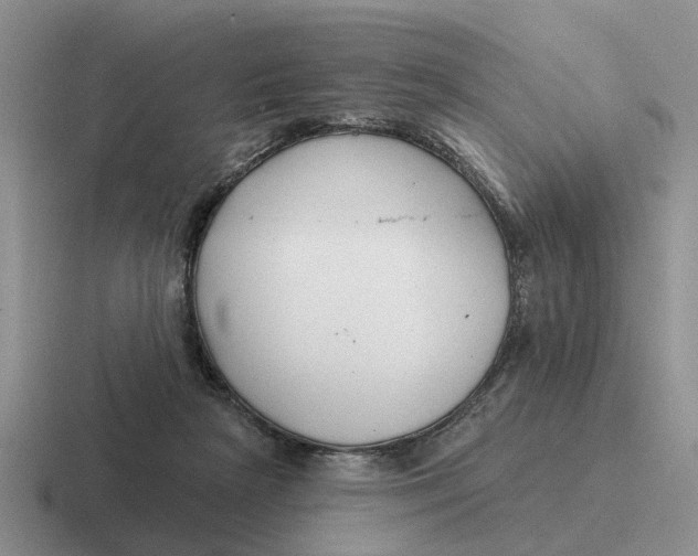 X0000116670265201001041135