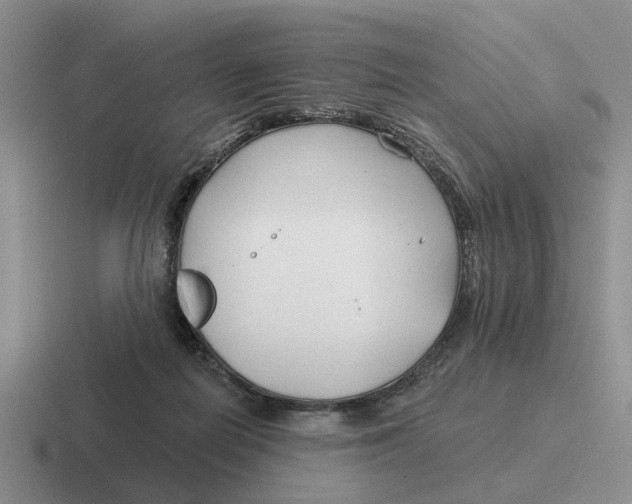 X0000116670266201001041135