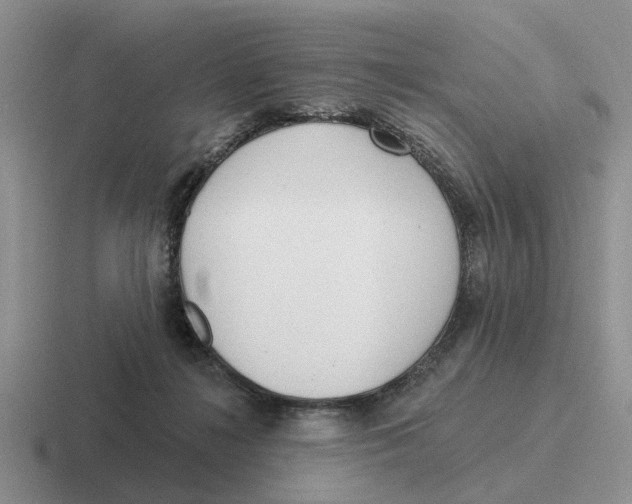 X0000116670268201001041135