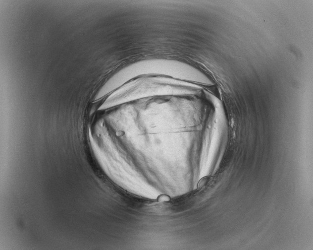 X0000116670269201001041135