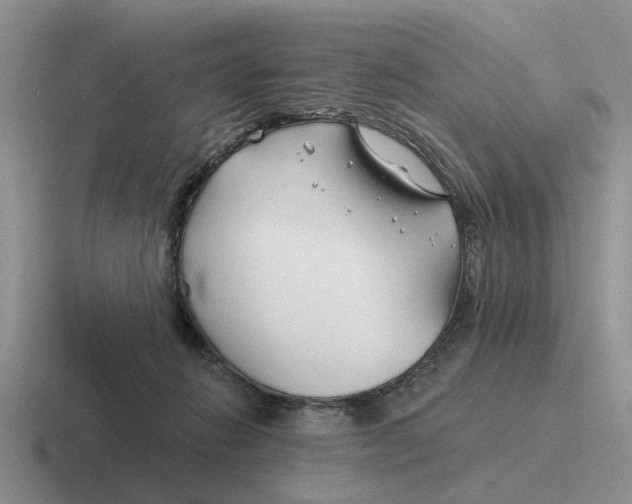 X0000116670270201001041135