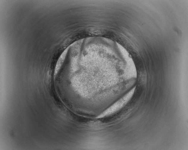 X0000116670271201001041135