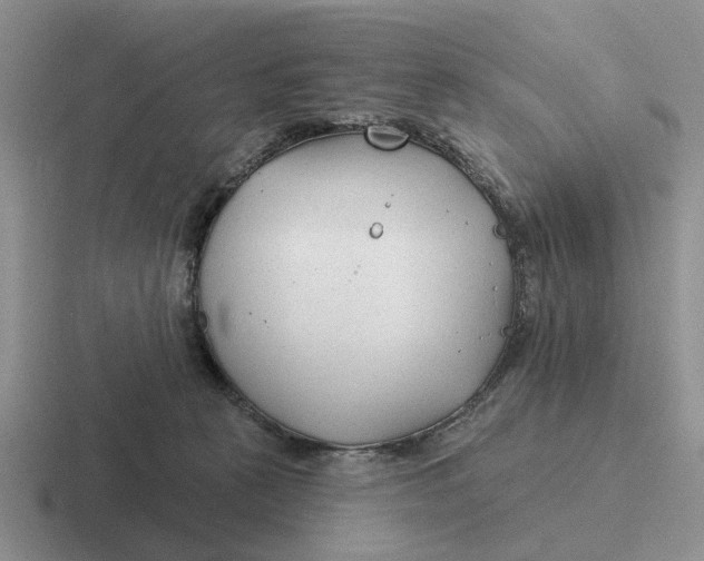 X0000116670273201001041135