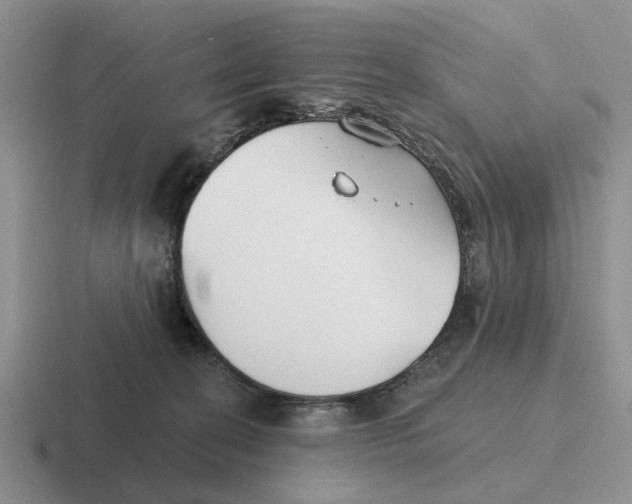 X0000116670274201001041135