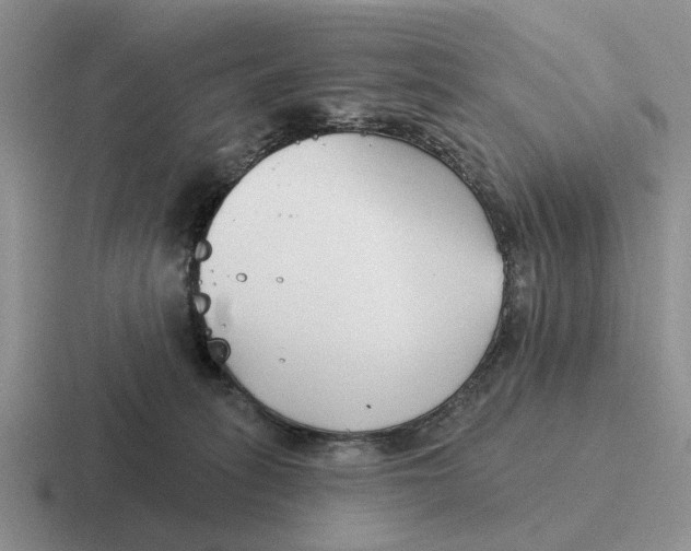 X0000116670275201001041135