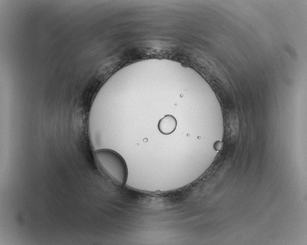 X0000116670276201001041135