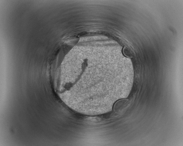 X0000116670277201001041135