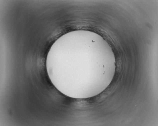 X0000116670278201001041135