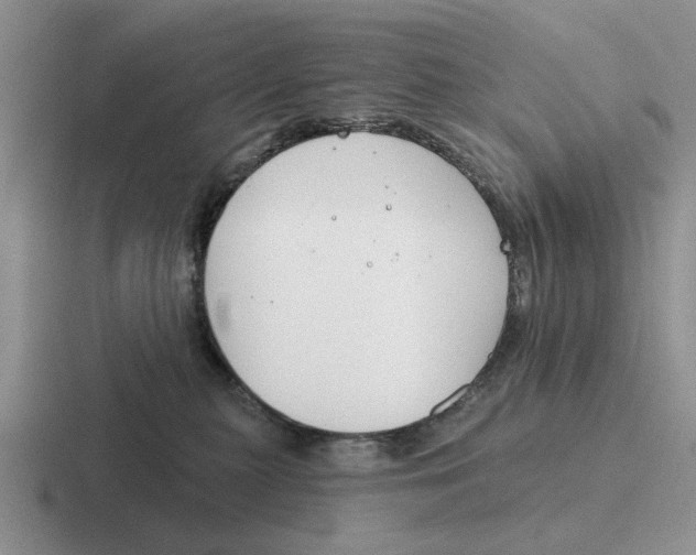 X0000116670279201001041135