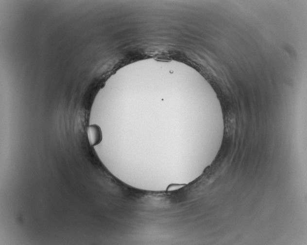 X0000116670280201001041135