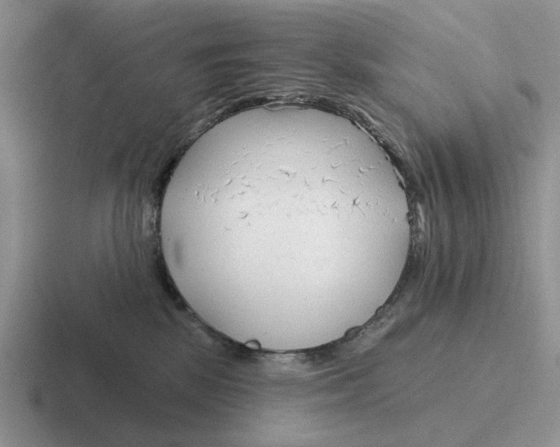 X0000116670281201001041135