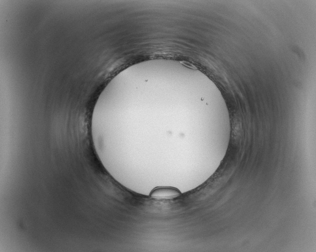 X0000116670282201001041135