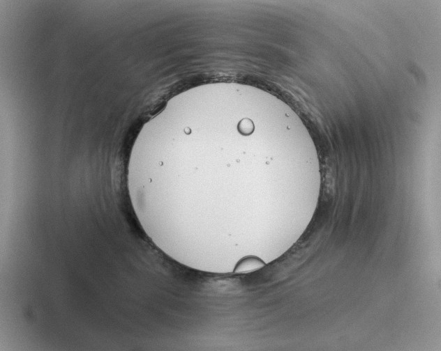 X0000116670283201001041135