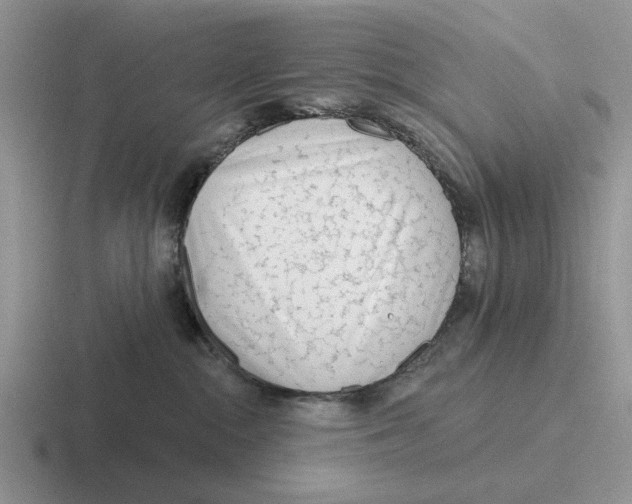 X0000116670284201001041135