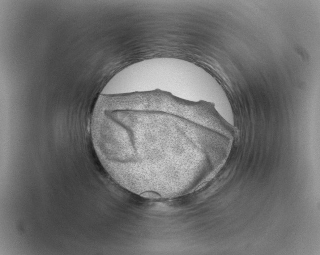 X0000116670285201001041135