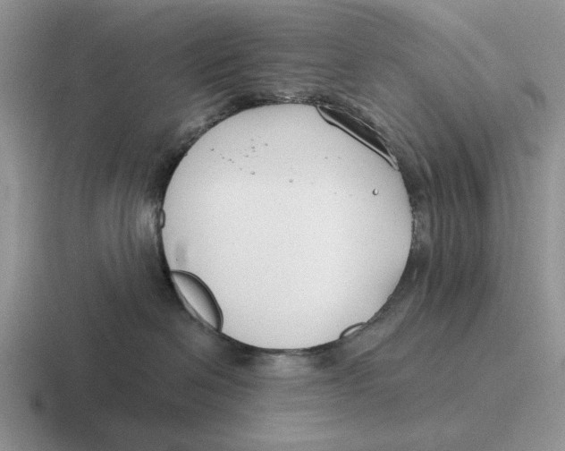 X0000116670286201001041135