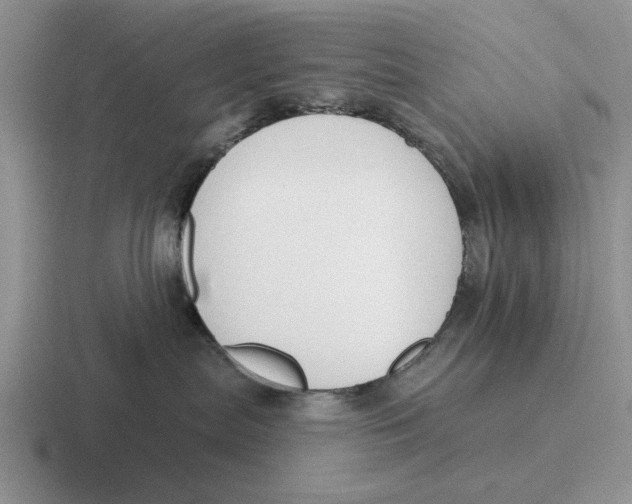 X0000116670287201001041135