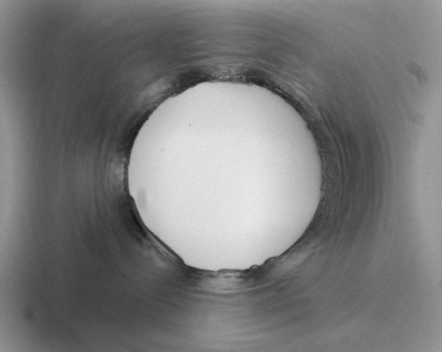 X0000116670288201001041135