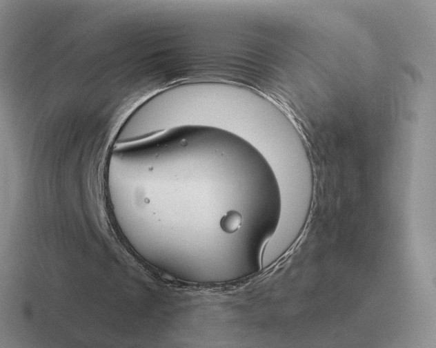 X0000116670289201001041135