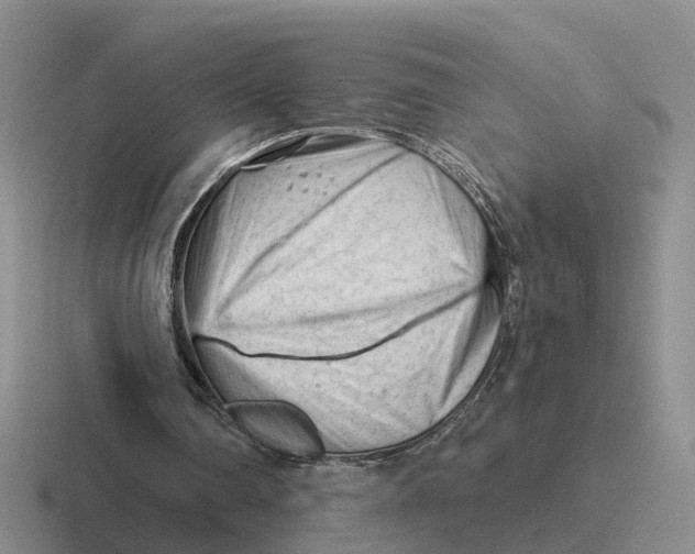 X0000116670290201001041135