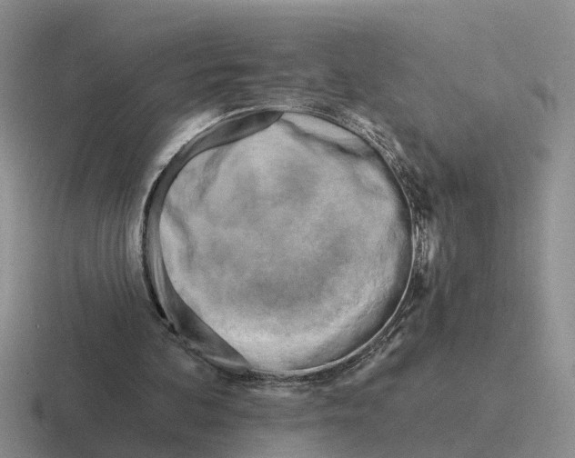 X0000116670292201001041135