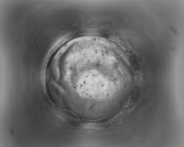 X0000116670293201001041135