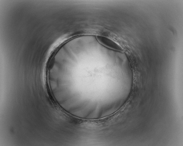 X0000116670294201001041135