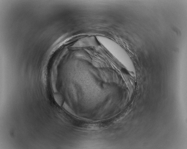 X0000116670295201001041134