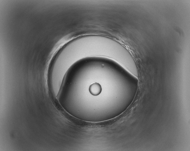 X0000116670296201001041134