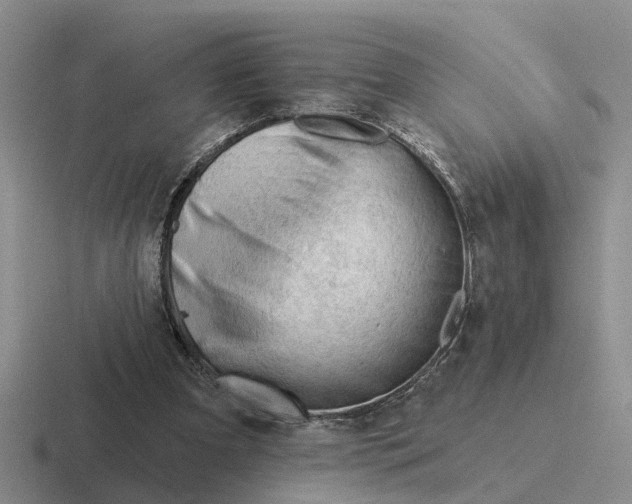 X0000116670297201001041134