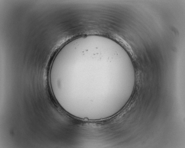 X0000116670298201001041134