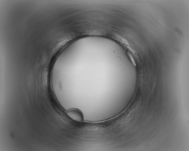 X0000116670299201001041134