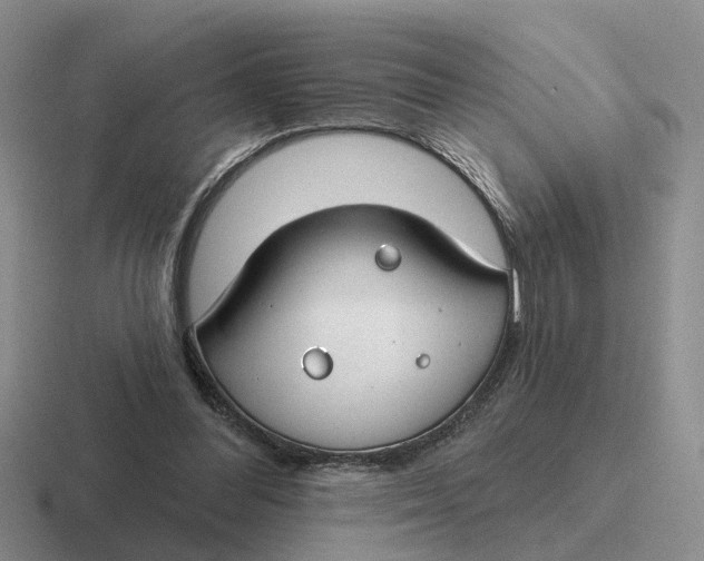 X0000116670300201001041134