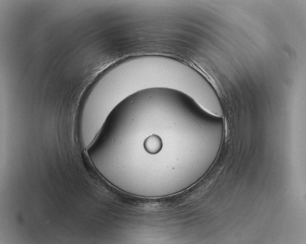 X0000116670301201001041134