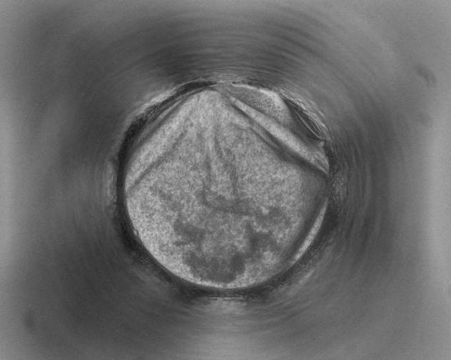 X0000116670303201001041134